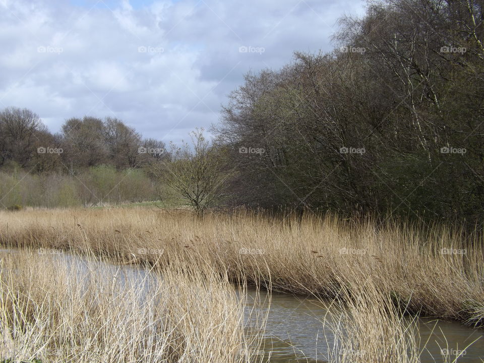 Grassy River Anderton nature park Northwich Cheshire