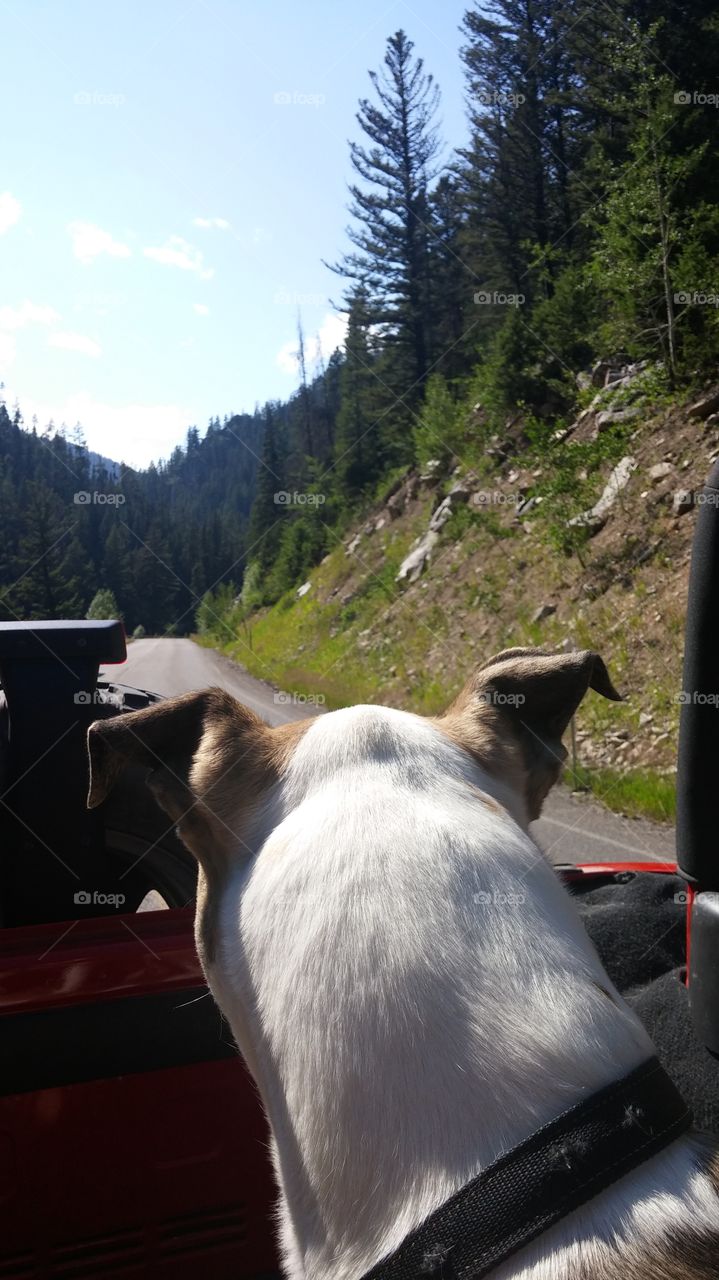 Wind In My Ears. ride into the mountains