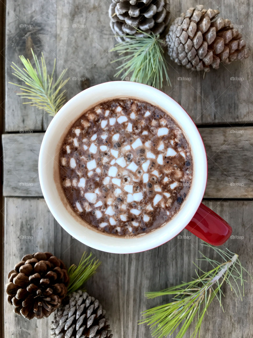 A cup of hot chocolate with mini marshmallows!