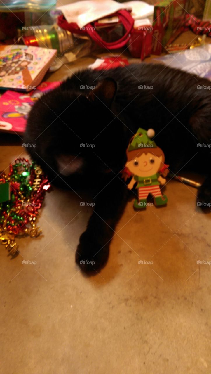 People, One, Child, Adult, Wear