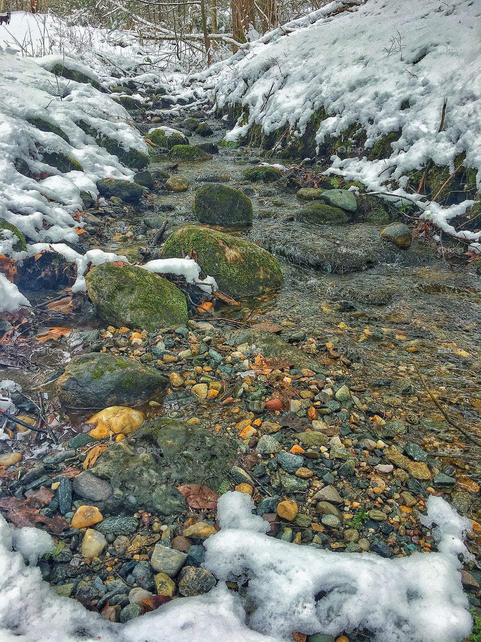 Wintery creek bed