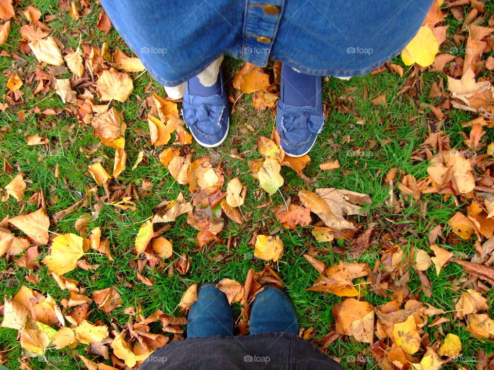 Two pairs of feet on the leaves