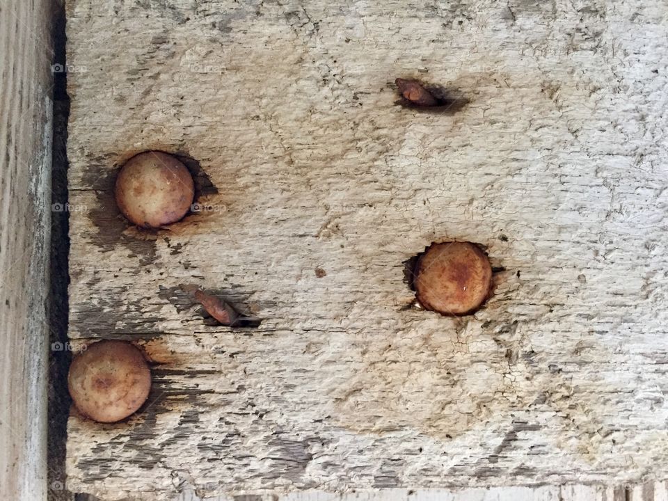 Creative Textures - closeup of rusty nails in weathered wood 