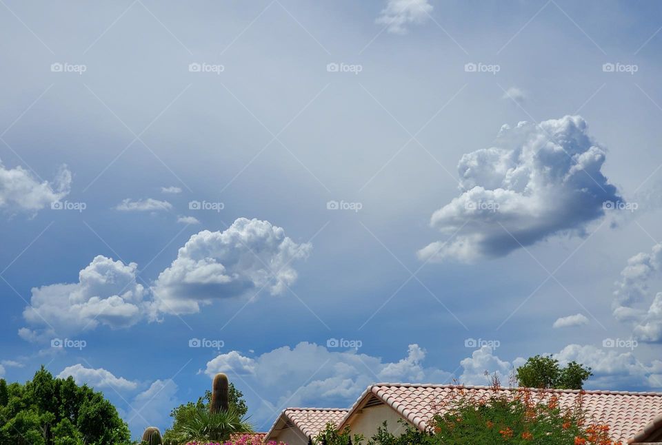 Storm Clouds on the Horizon