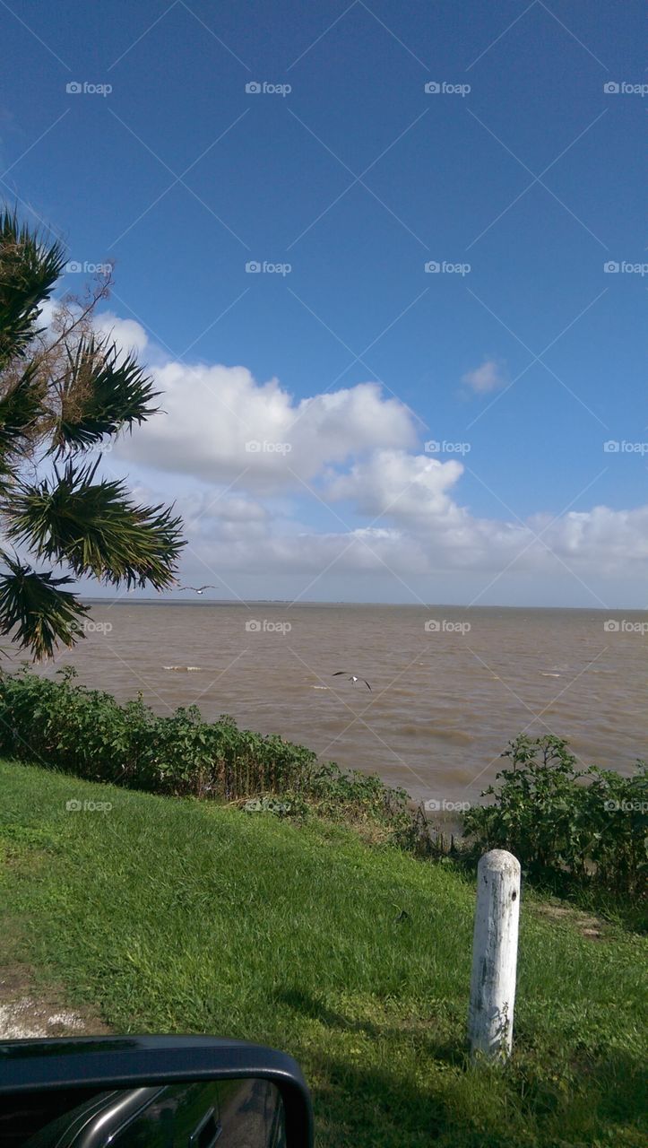No Person, Water, Landscape, Beach, Tree