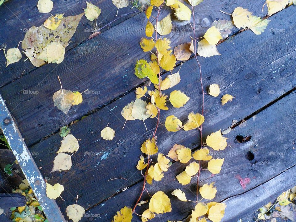 on a wooden table old autumn leaves