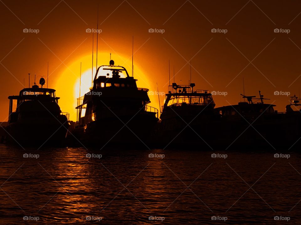 Silhouettes in the marina 