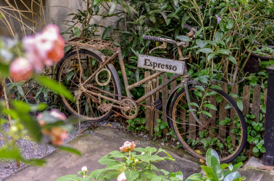 Espresso on the bike 