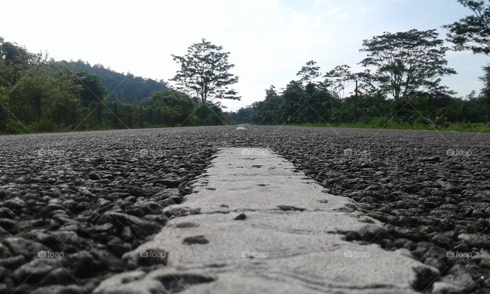 empty road with white line