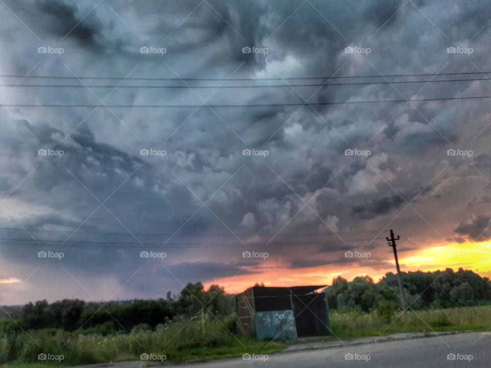 nature flower botany summer spring greens wild clouds sky
