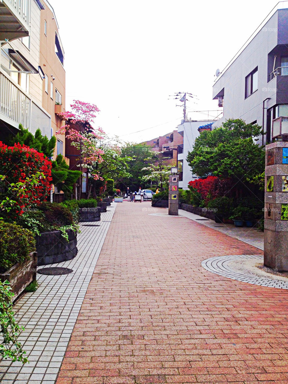beautyfull street