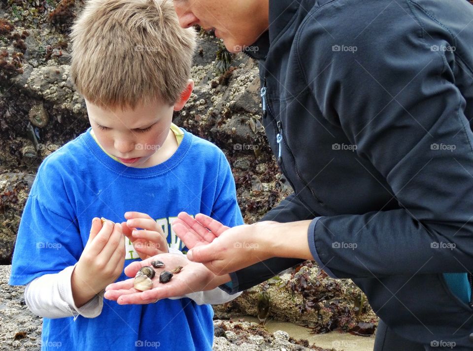 Visiting The Tide Pools. Young Boy Exploring Marine Life At A California Tide Pool
