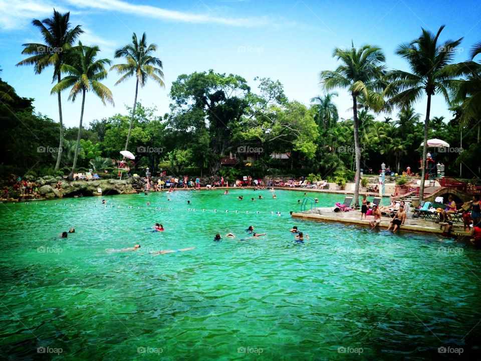 Venetian pool Miami Florida USA 