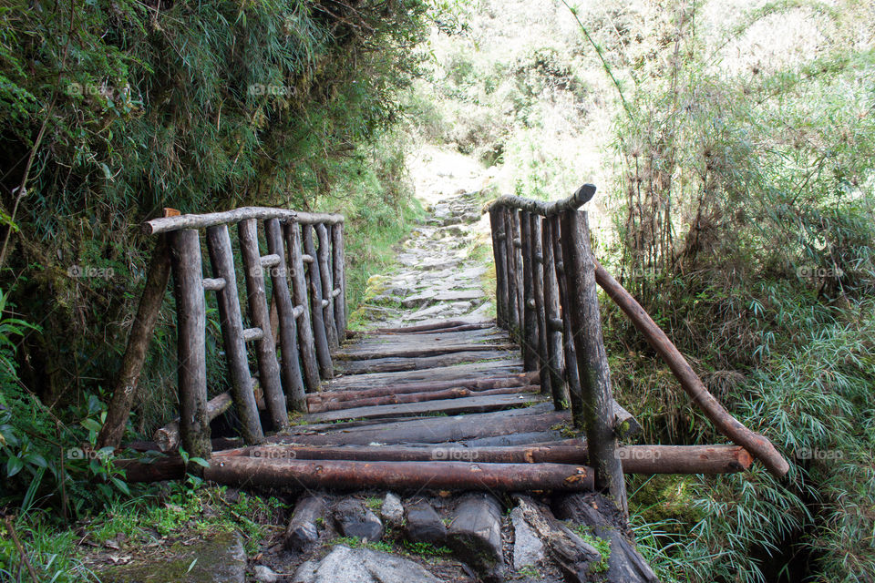 Primitive bridge