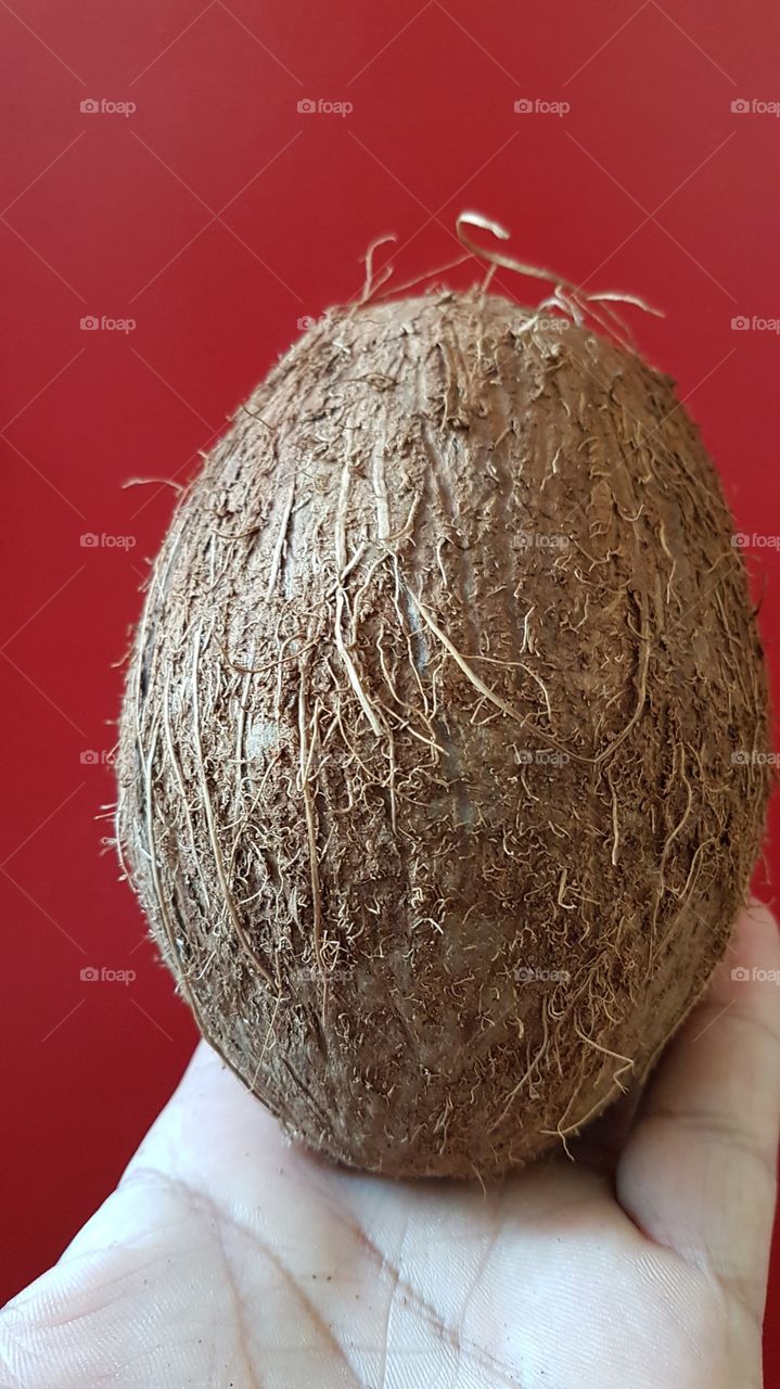 coconut