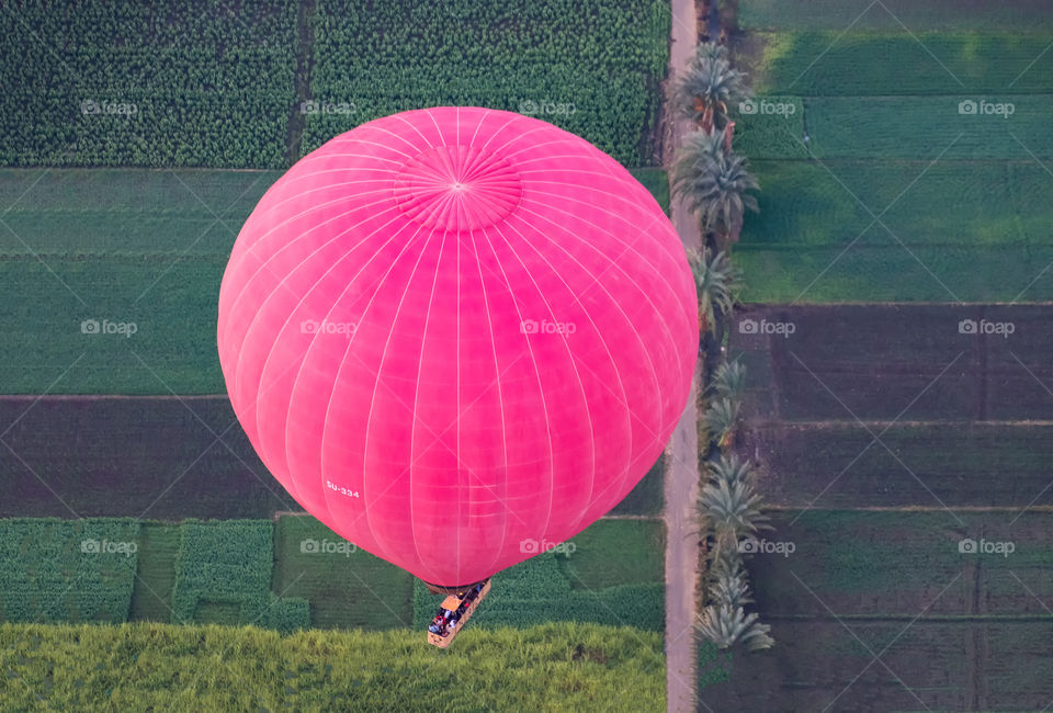 Pink balloon float over green field