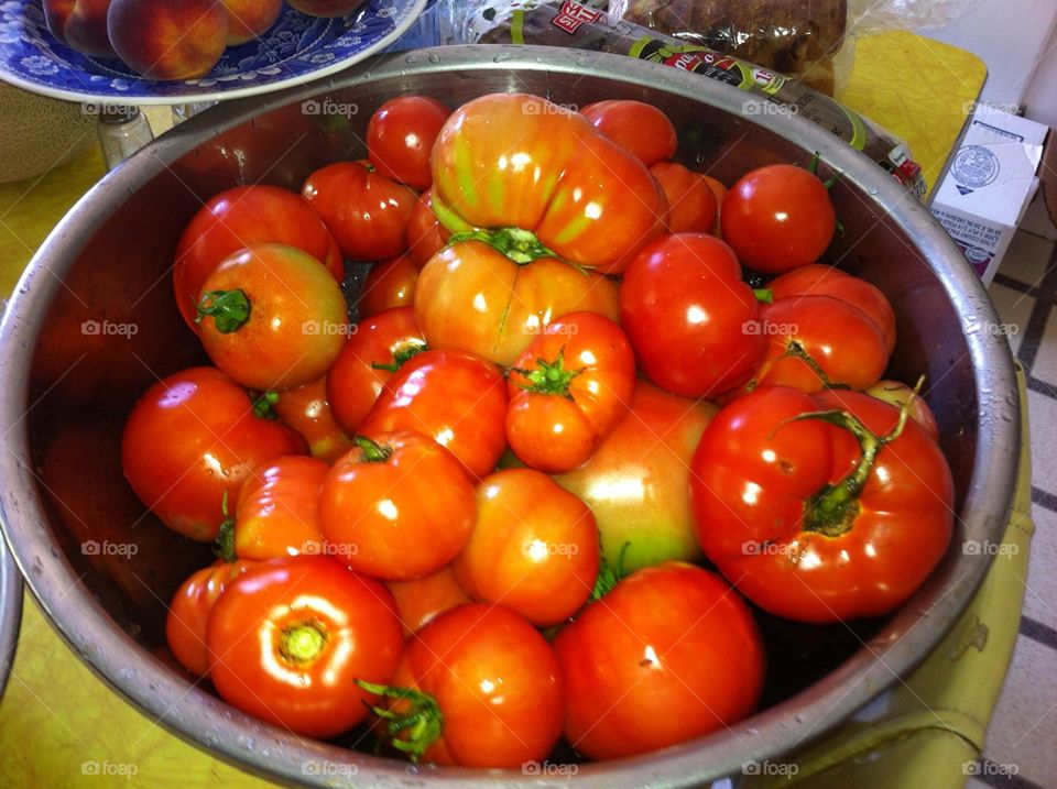 Fresh Picked Tomatoes from the garden. Fresh picked tomatoes from the garden