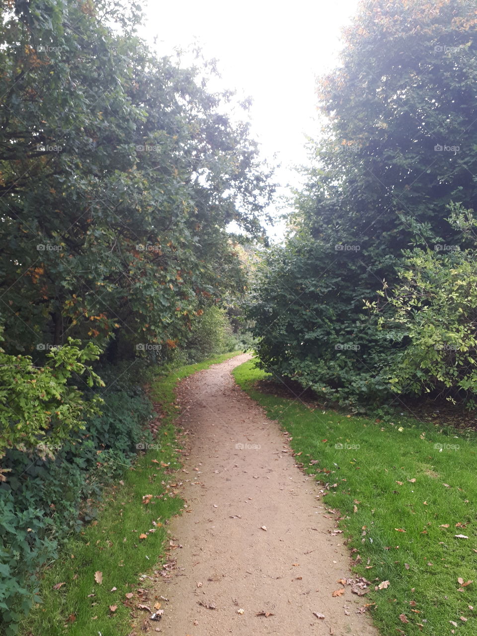 Curved Footpath