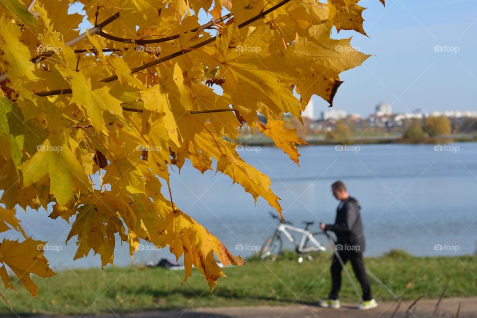 sport walking nature landscape