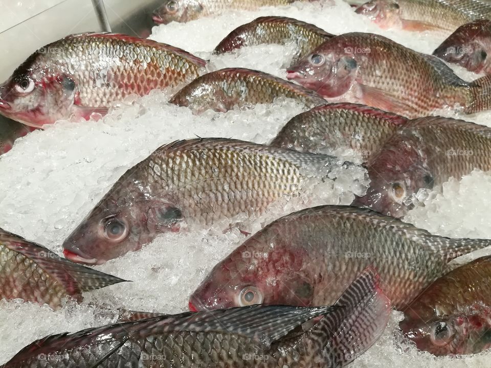 Freshwater fish, Nile tilapia at the supermarket.