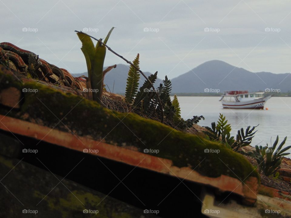 Lagoa, Florianopolis, SC, Brazil