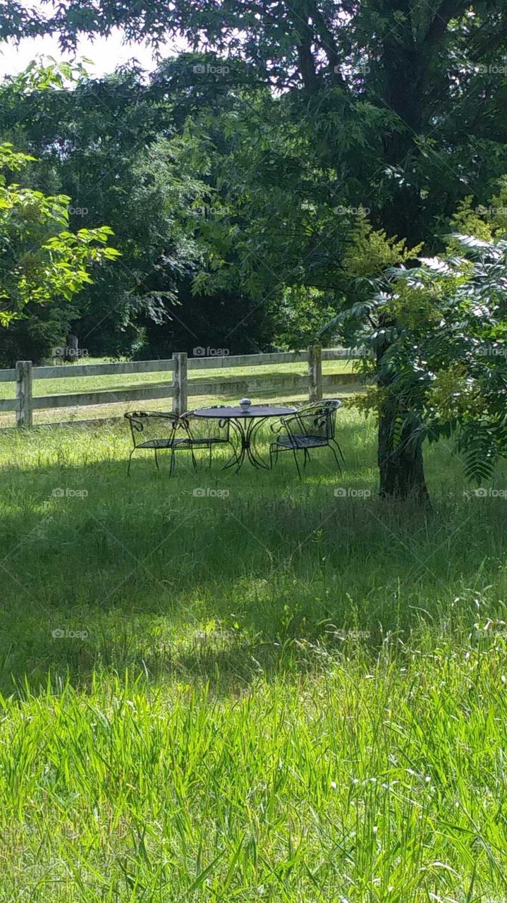 table in the grass