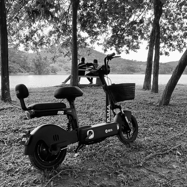 Lonely bike