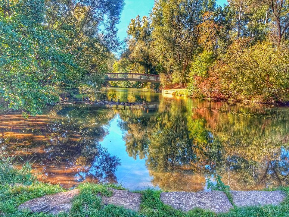 A Bridge over the pond