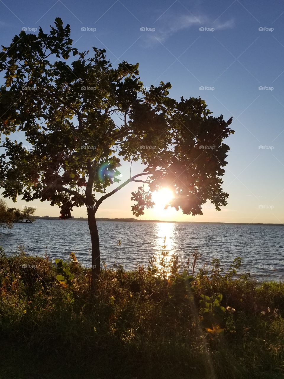 Sunset Near the Lake
