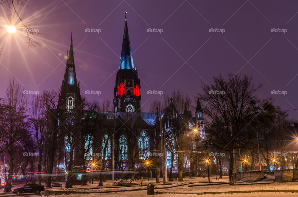 St. Olga and Elizabeth cathedral in Lviv city