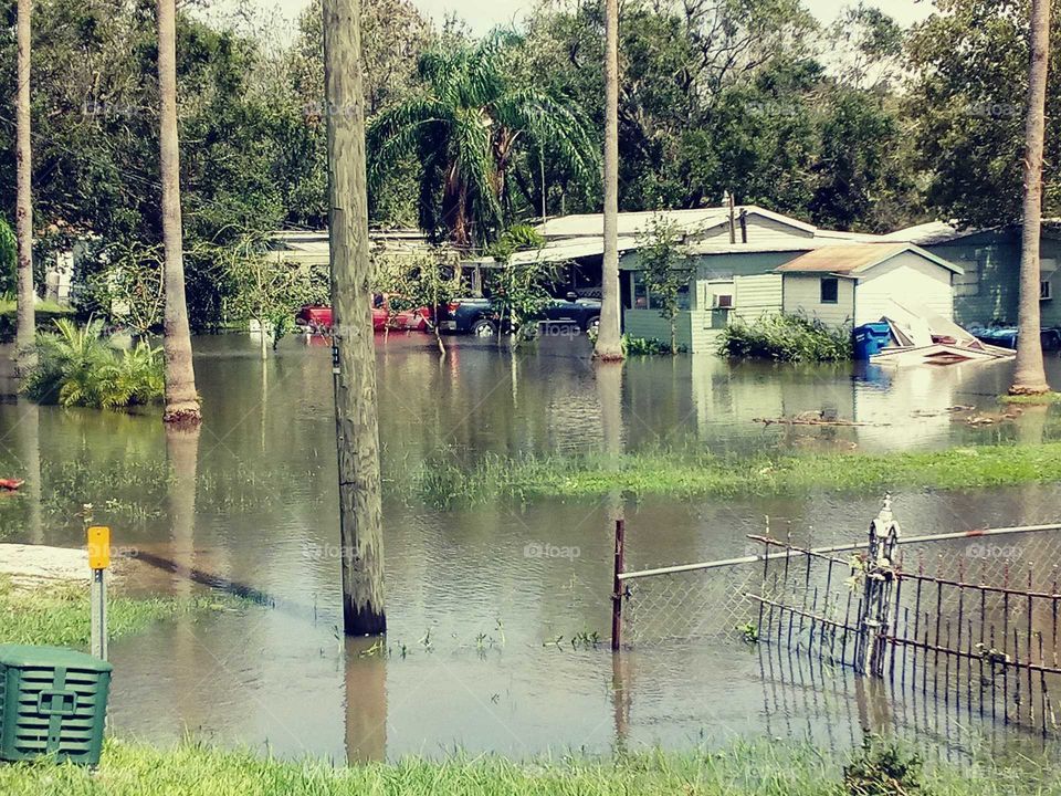 After the storm.....Hurricane Irma, Polk City Florida