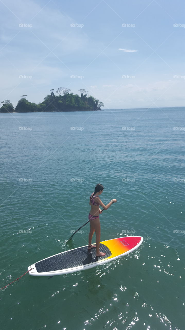 Paddle board