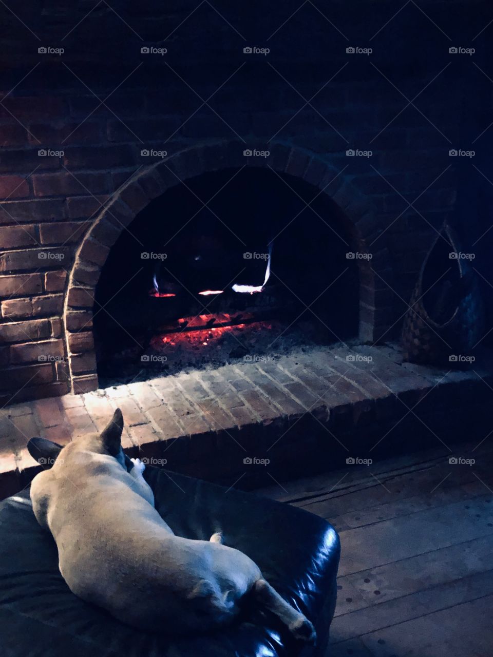 French bulldog sleeping in front of the fire 
