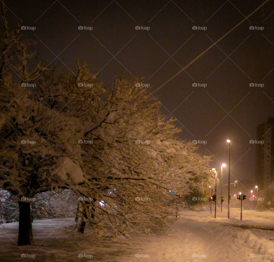 First snow, city, Belgrade, street