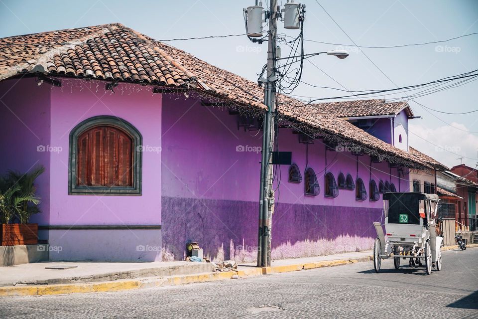 Purple house