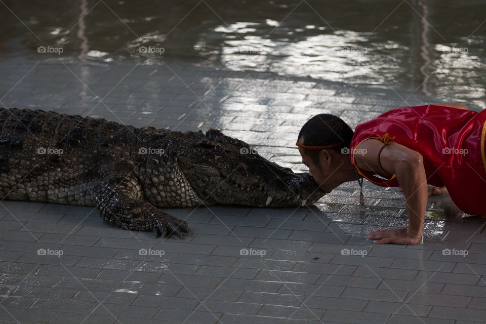 Reptile, People, One, Water, Portrait