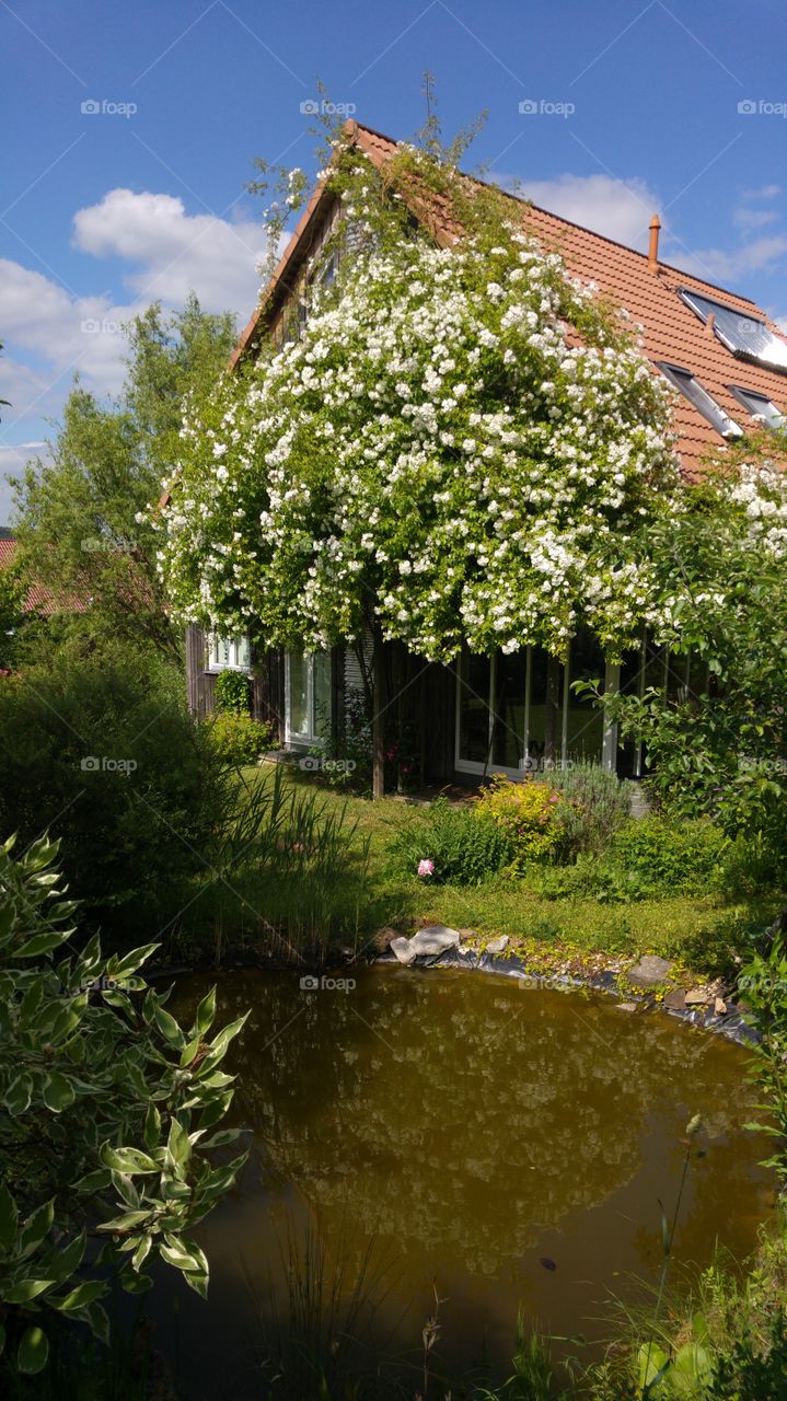 my Home is my Castle