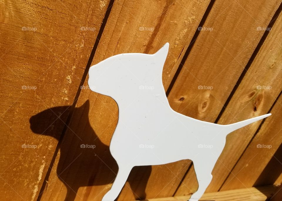 Bull terrier art shadows on the fence