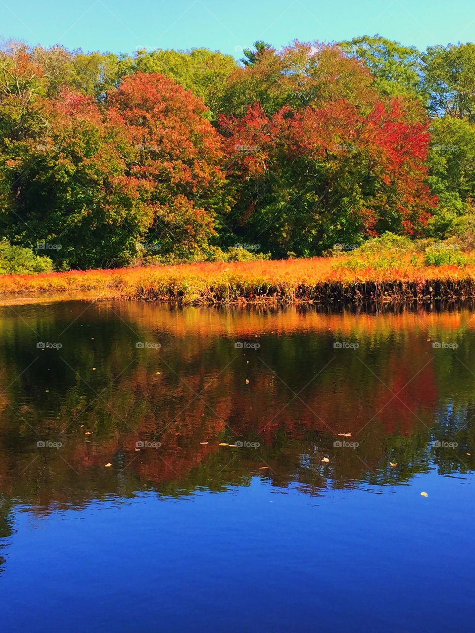 Fall on the lake