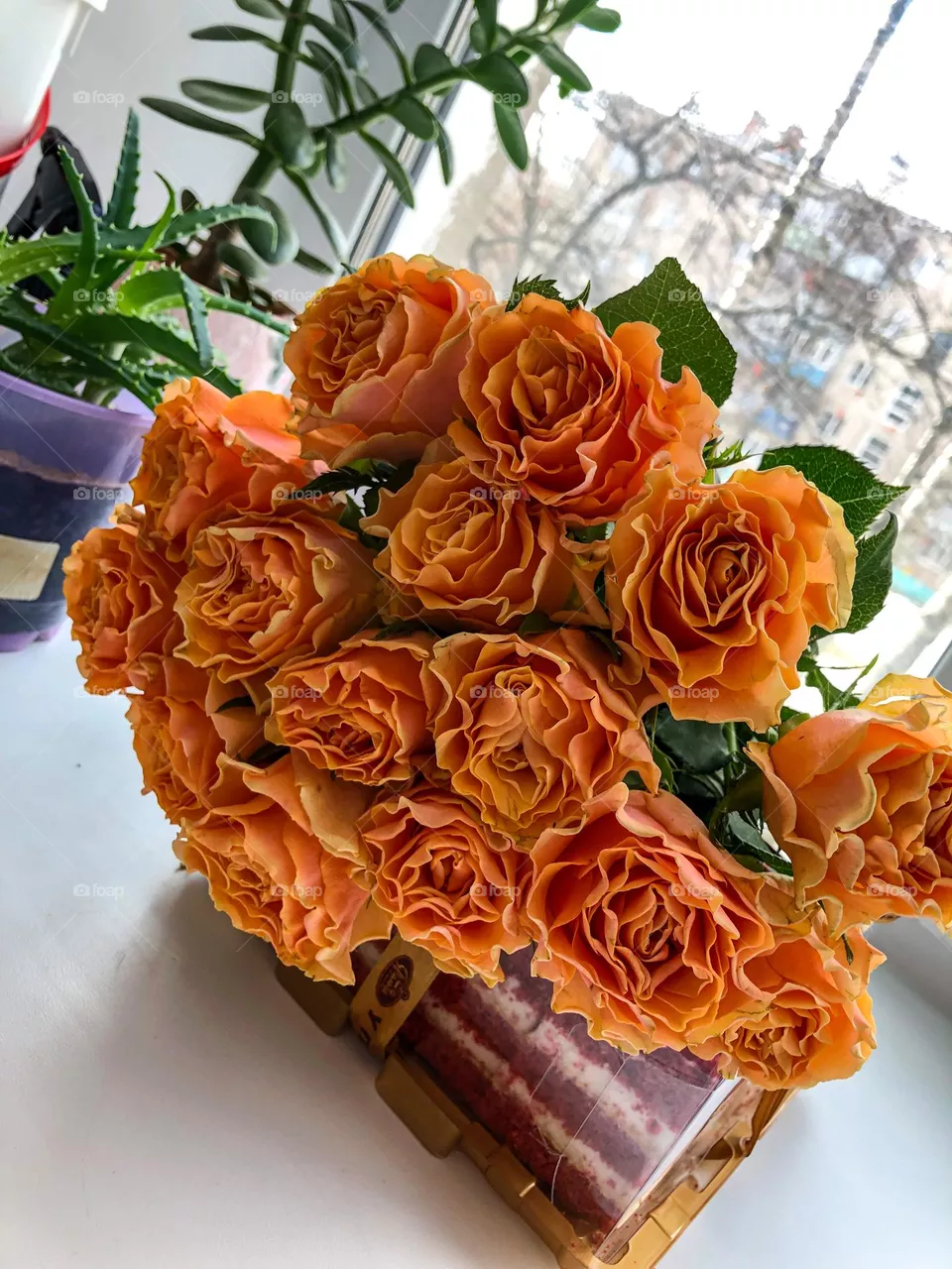 Персиковые розы
