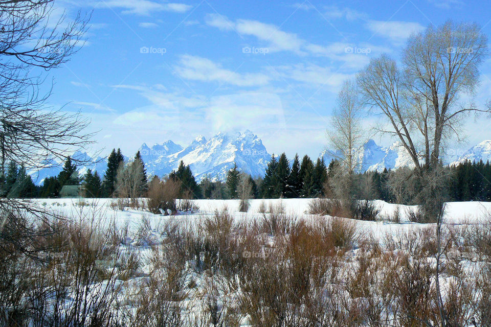 The Grand Tetons in Winter