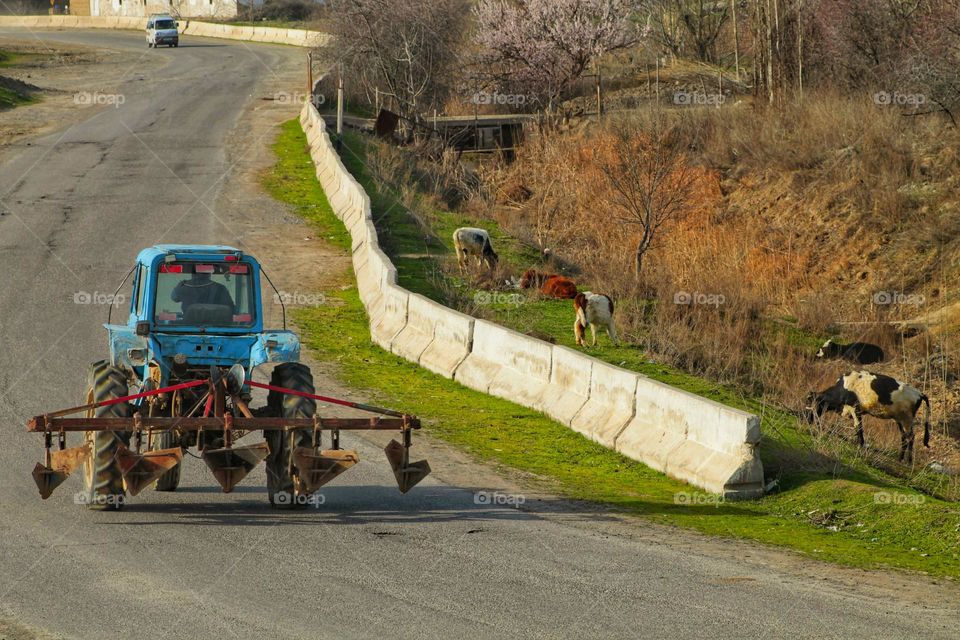 a blue tractor with a plow rides along a village road