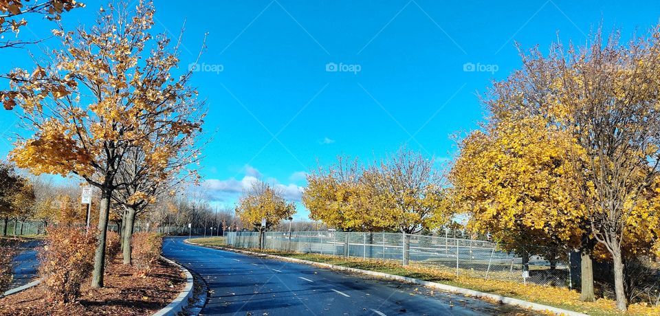 Sunday morning autumn road