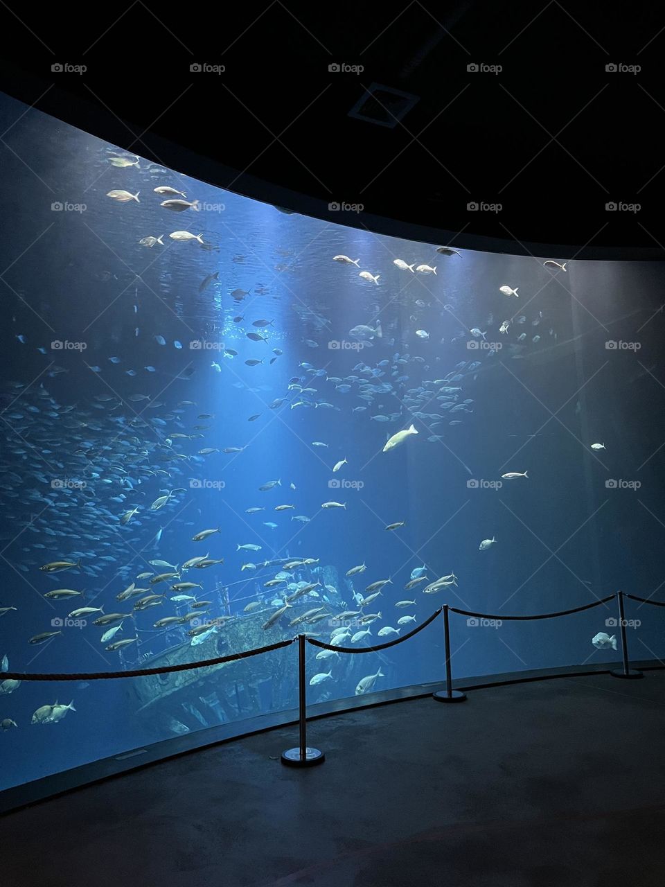 Ocean world