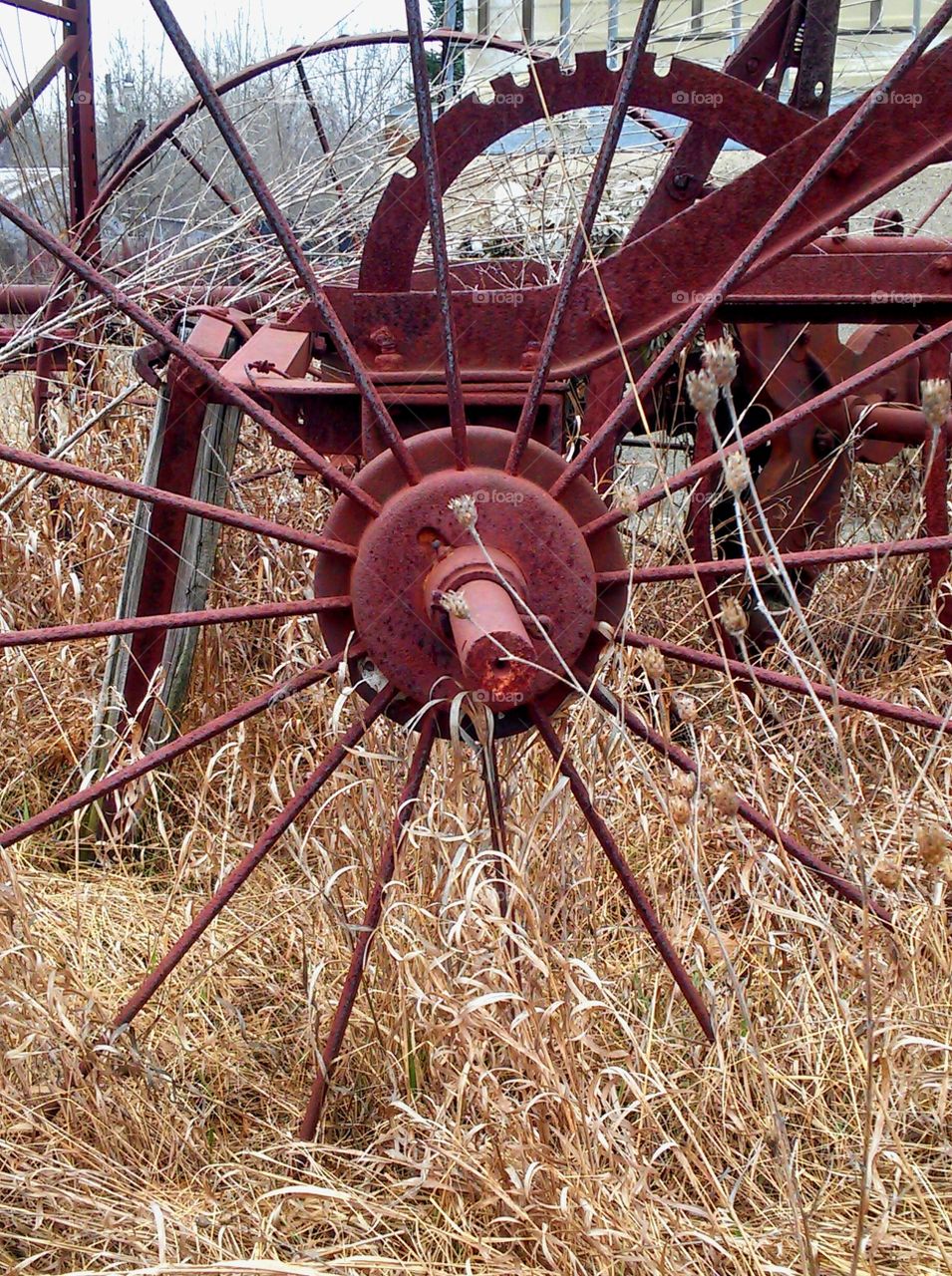 Field finds