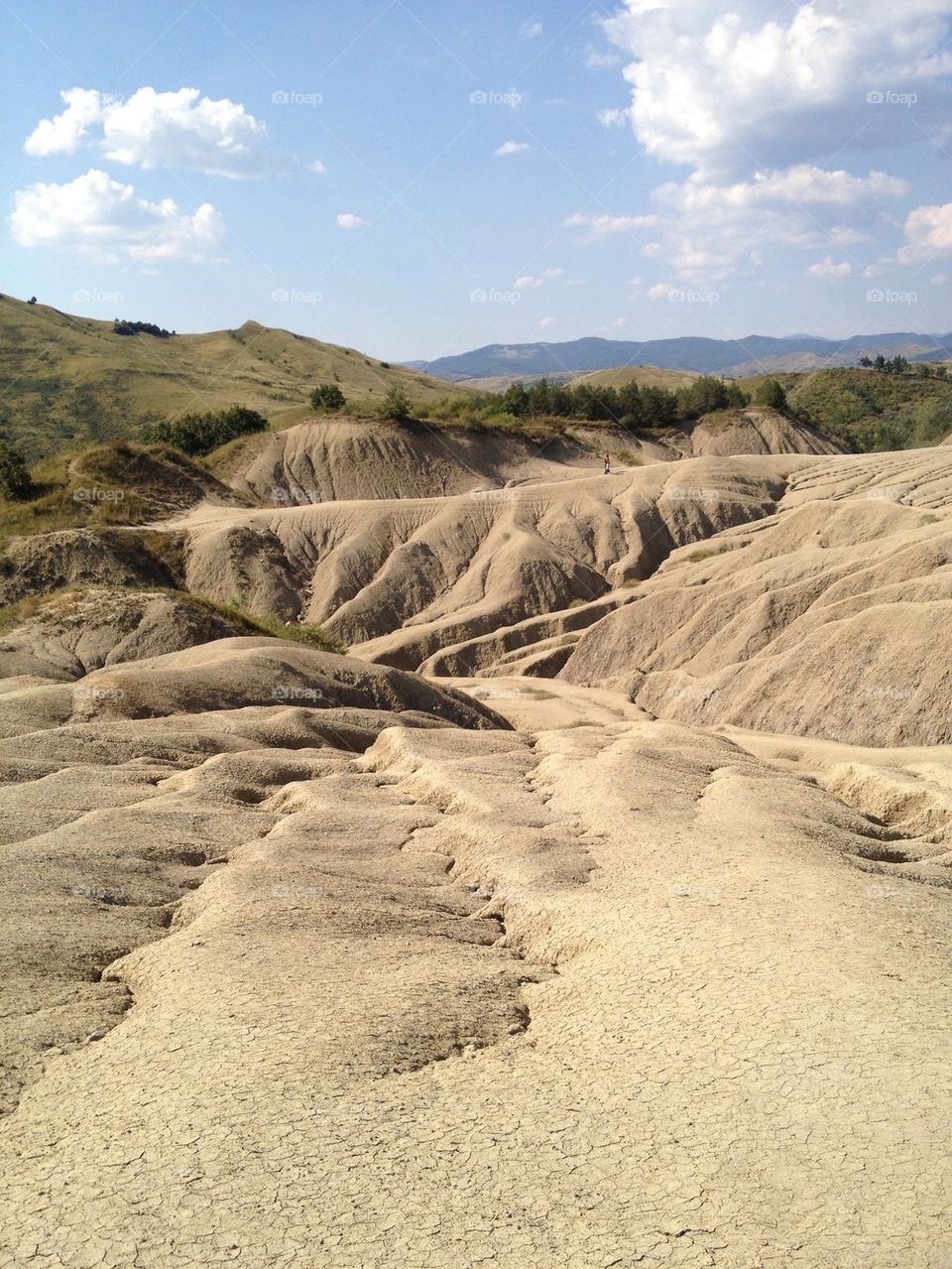 Scenic view of nature