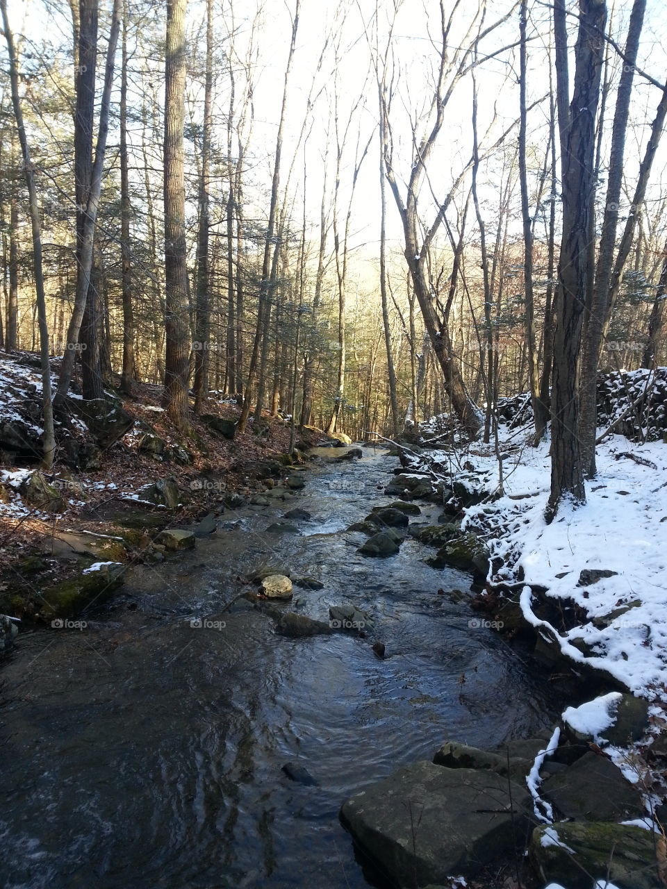 Winter Stream