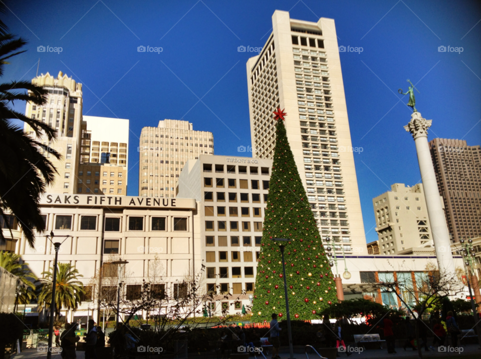 city california san francisco christmas tree by mkitchin