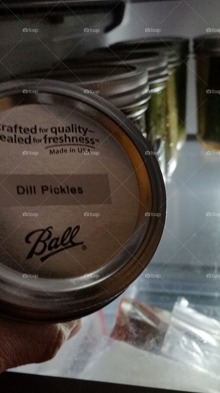 Canned Dill Refrigerator Pickles