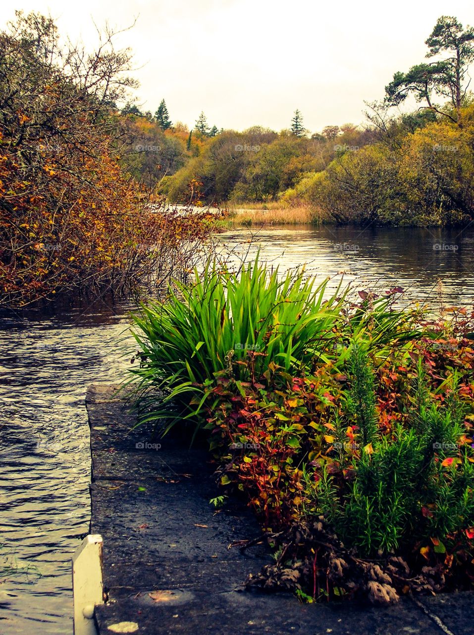 Colorful Creek. Colorful Creek